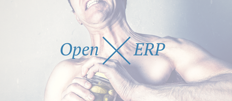 Qu'est-ce que l'Open ERP ?