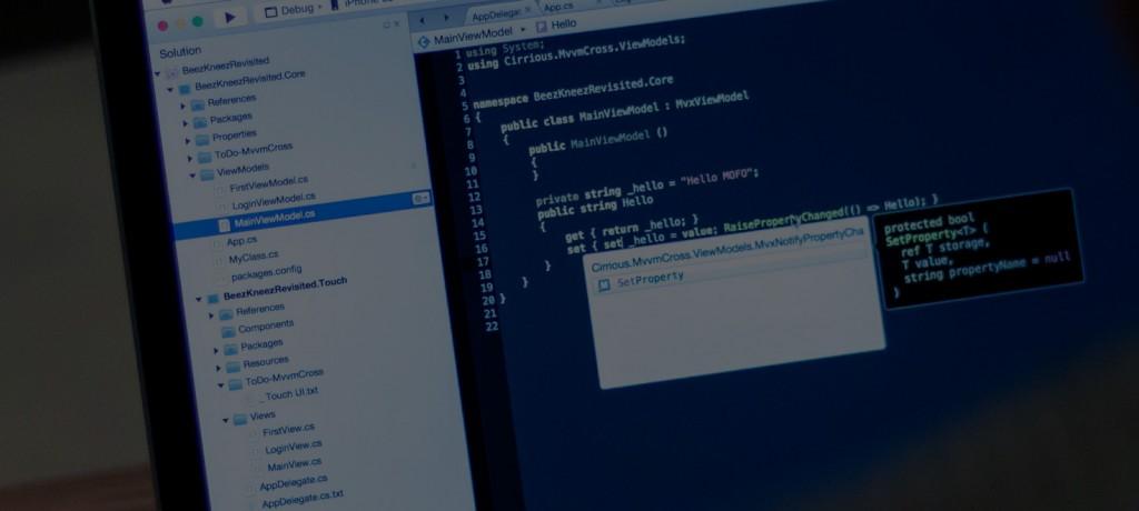 Comment choisir une société de développement logiciel ?