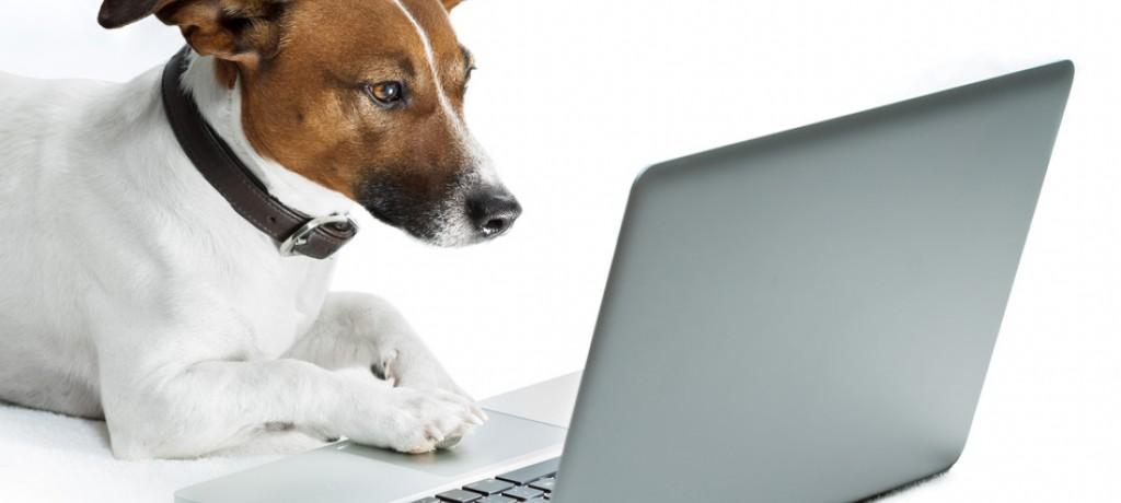 Augmenter sa présence sur le web : comment faire ?