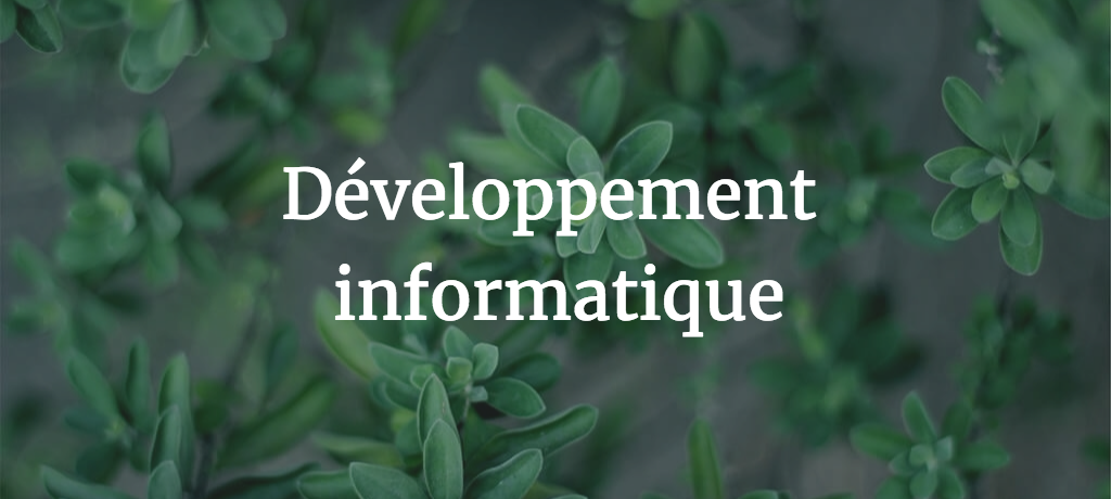 Développement Informatique personnalisé