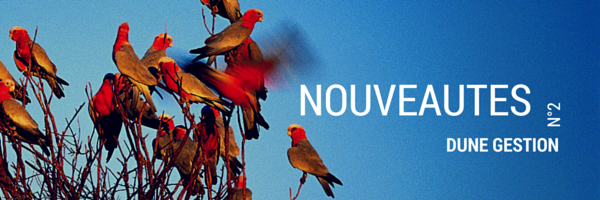 Les Nouveautés de Dune Gestion N°2