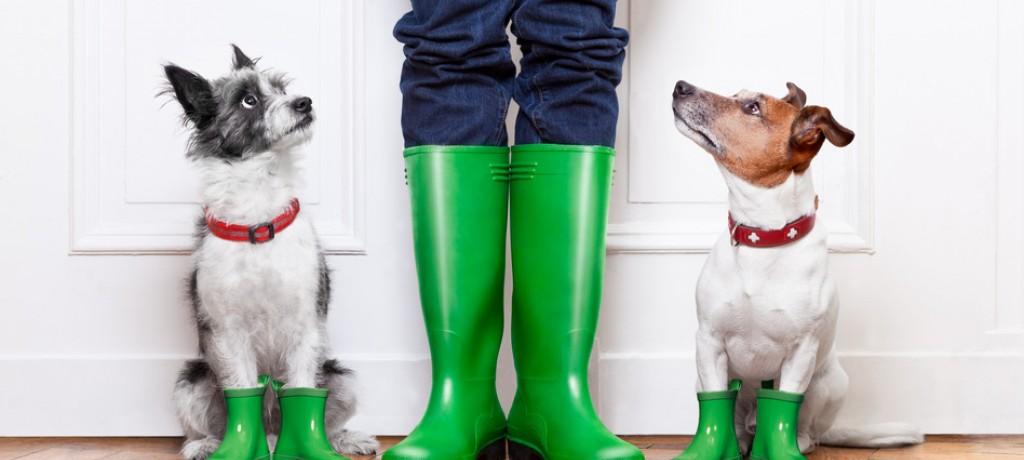 Quels sont les meilleurs CRM du marché ?